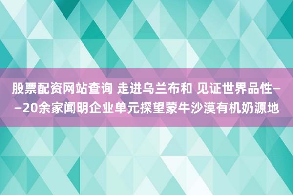 股票配资网站查询 走进乌兰布和 见证世界品性——20余家闻明企业单元探望蒙牛沙漠有机奶源地